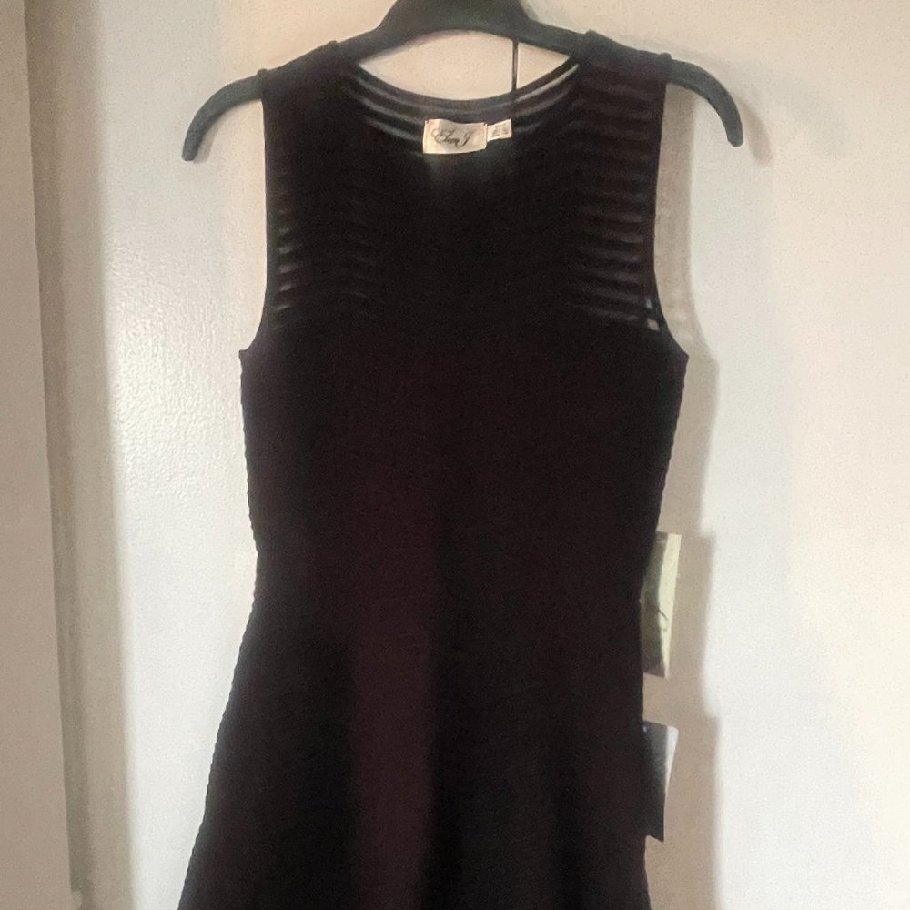 NWT Eliza J Chevron Fit and Flare Dress